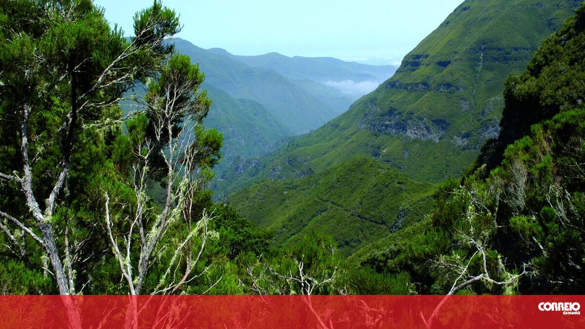 Aviso amarelo nas regiões montanhosas da Madeira Sociedade Correio