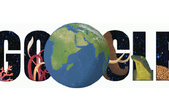 Dia da Terra: questionário do Google diz qual bicho você é
