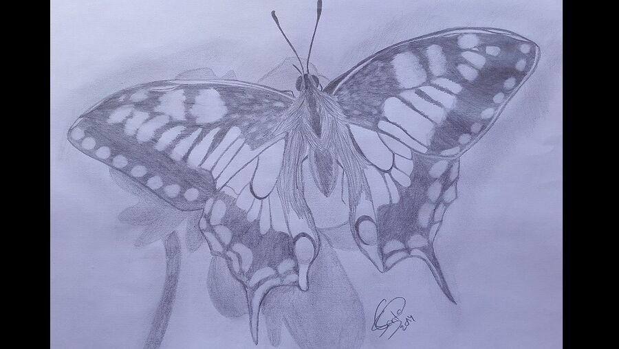 Trabalho intitulado 'La bellezza della Natura', enviado pela participante Catarina Santos, 16 anos, de Quinta do Conde