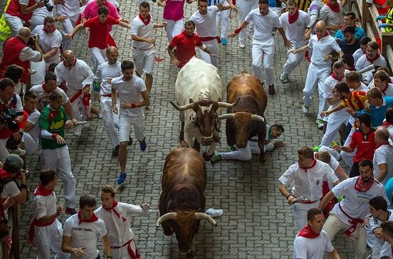 Cinco feridos no regresso da largada de touros em Pamplona