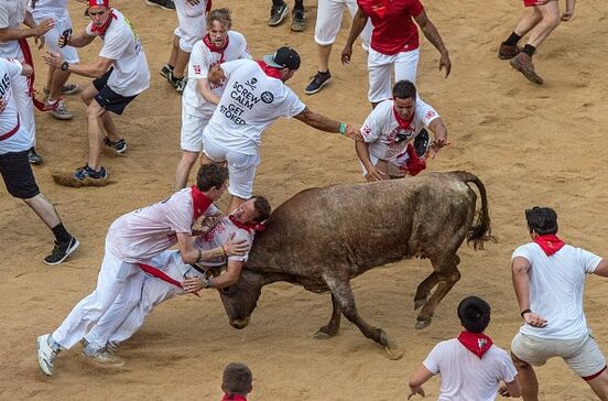 Cinco feridos no regresso da largada de touros em Pamplona