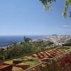 Jardim Botânico da Madeira reabre após o fogo