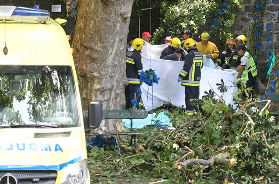 Treze esmagados no Jardim da Morte na Madeira