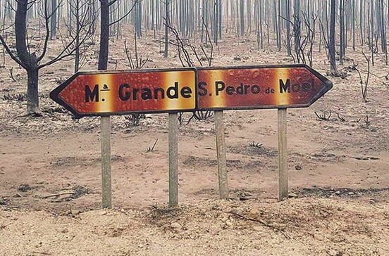 Pinhal do Rei ardeu em fogo devastador
