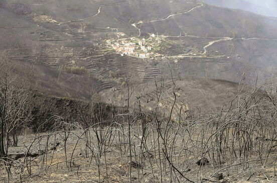 Chamas devoram 520 mil hectares em Portugal