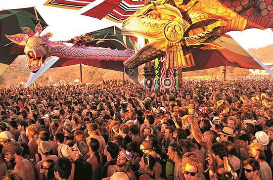 Estado avalia pureza da droga em festival em Idanha a Nova