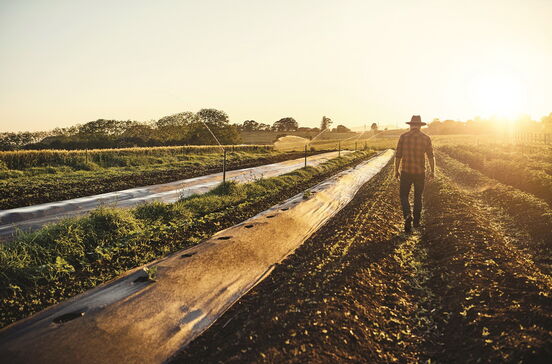 Agricultores obrigados a devolver meio milhão