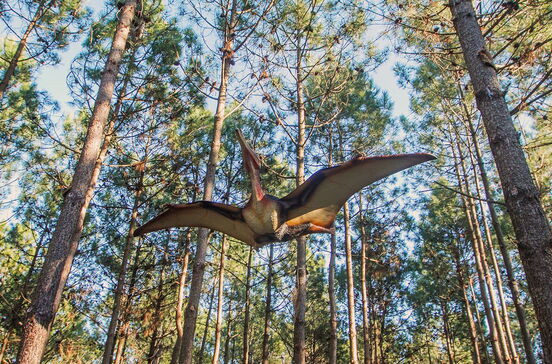 Conhecer Portugal em família
