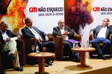 Portugal com metade da área ardida da UE