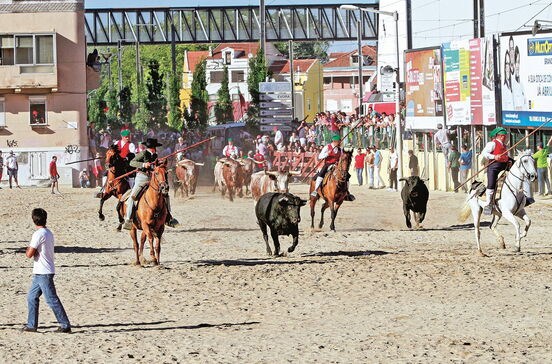 Grande festa em Vila Franca de Xira com toiros e artes