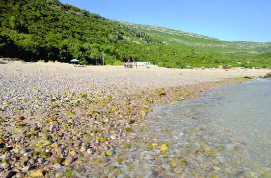 População está contra dragagens no rio Sado