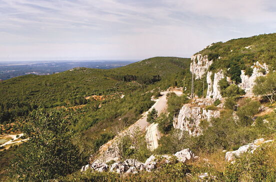 Soure, entre os rios e a serra