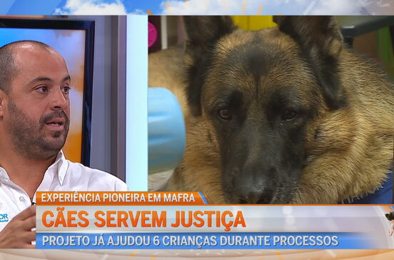 Cães de Intervenção Judicial