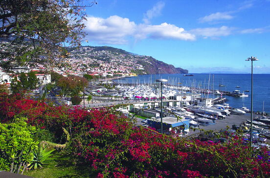 Isenções na Madeira prometem guerra legal