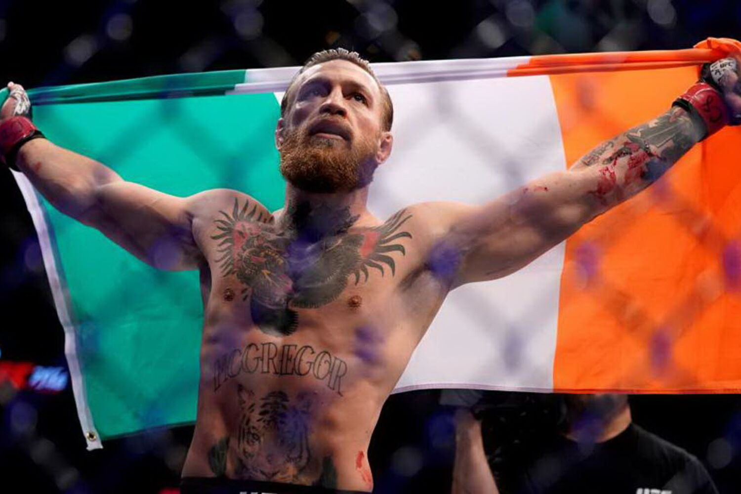 Conor McGregor Conhecido Lutador De MMA Condenado Por Abusar