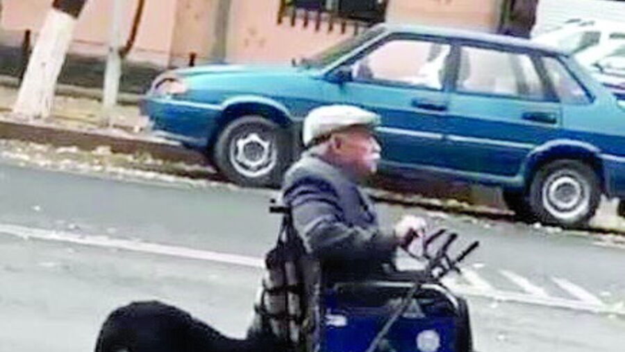 Amigo fiel empurra cadeira de rodas 