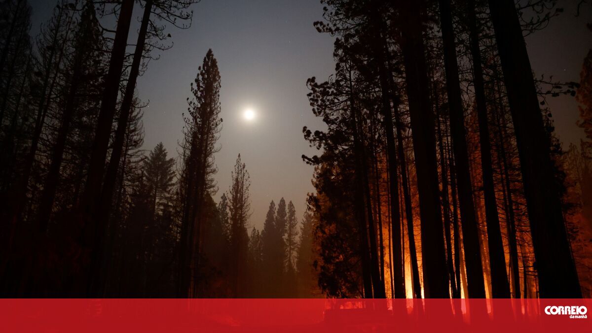 Bombeiros tentam impedir que fogo atinja cidade no norte da Califórnia