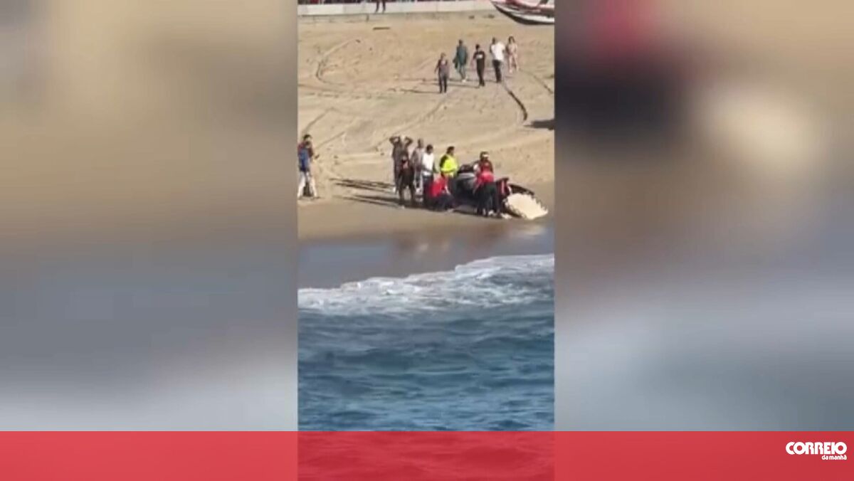 Corpo Em Avan Ado Estado De Decomposi O Resgatado Do Mar Na Praia Dos