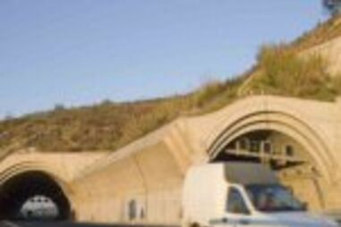 Cão na A8 provoca despiste a motociclista