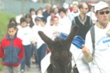 PROTESTO A PÉ POR NOVA ESCOLA