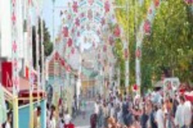 Largadas de touros na Moita