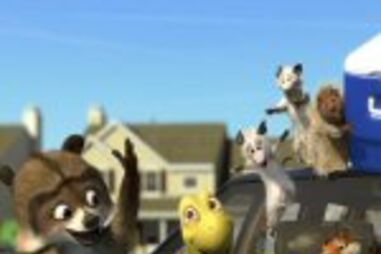 E a luta continua... animais saem à rua