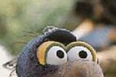 Paródia aos reality shows