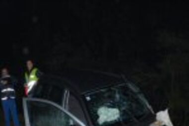 Emigrante morre no regresso a casa