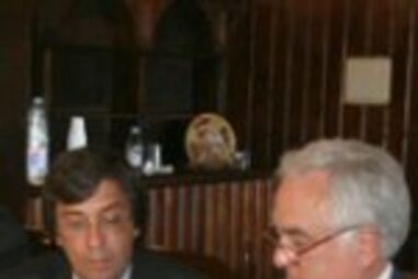 Presos de Sintra limpam florestas