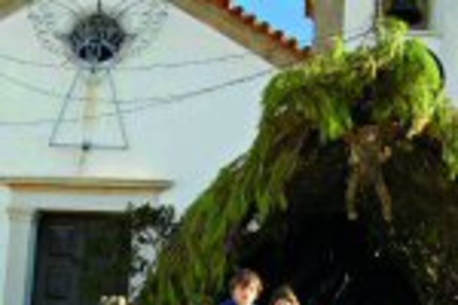 Festa dos presépios recupera tradição rural