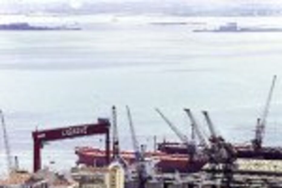 MONOCASCO AMEAÇA ESTUÁRIO DO RIO TEJO
