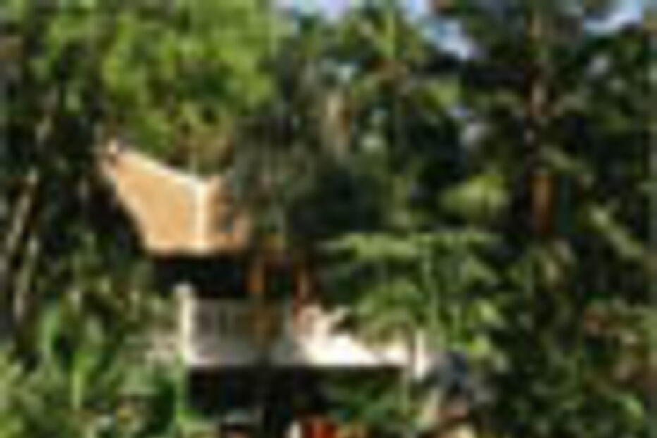 BANGUECOQUE - A CAPITAL DO PECADO