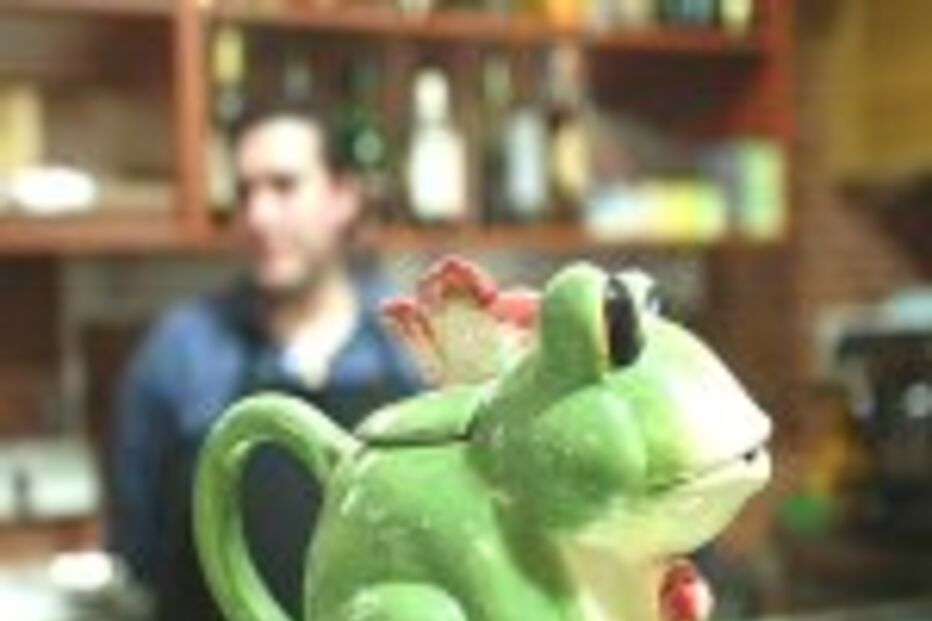 SAPOS DE LOIÇA REFORÇAM SEGURANÇA NAS LOJAS