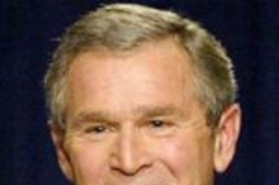 POPULARIDADE DE BUSH EM ALTA