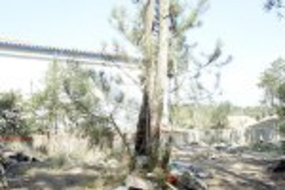 CHAMAS ESCONDIAM HOMEM ASSASSINADO NO ALGUEIRÃO