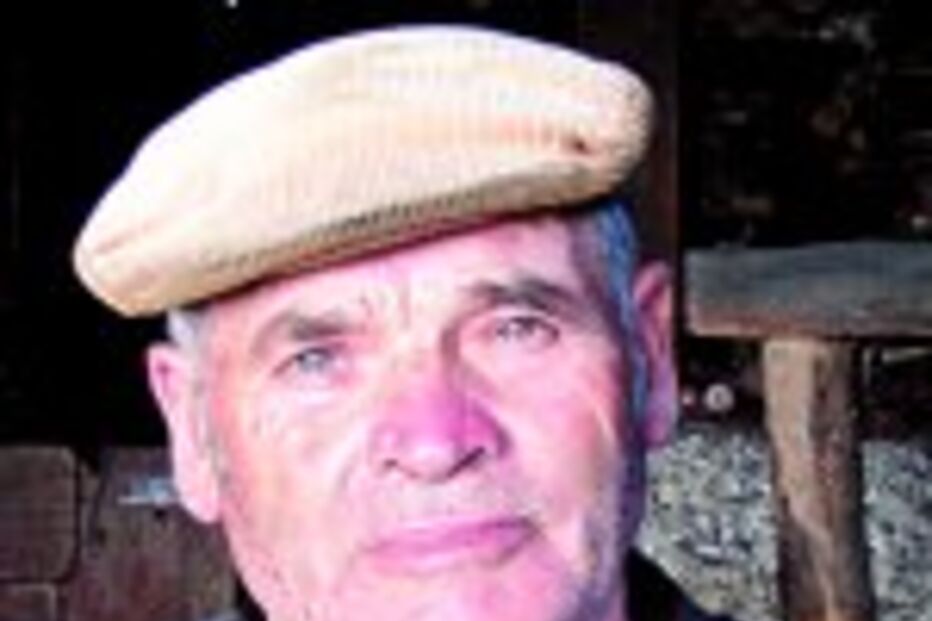 PASSOU A VIDA A CALÇAR ANIMAIS