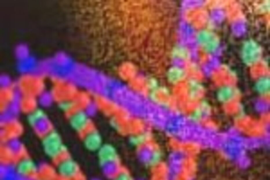 APRESENTADA SEQUÊNCIA DO GENOMA HUMANO