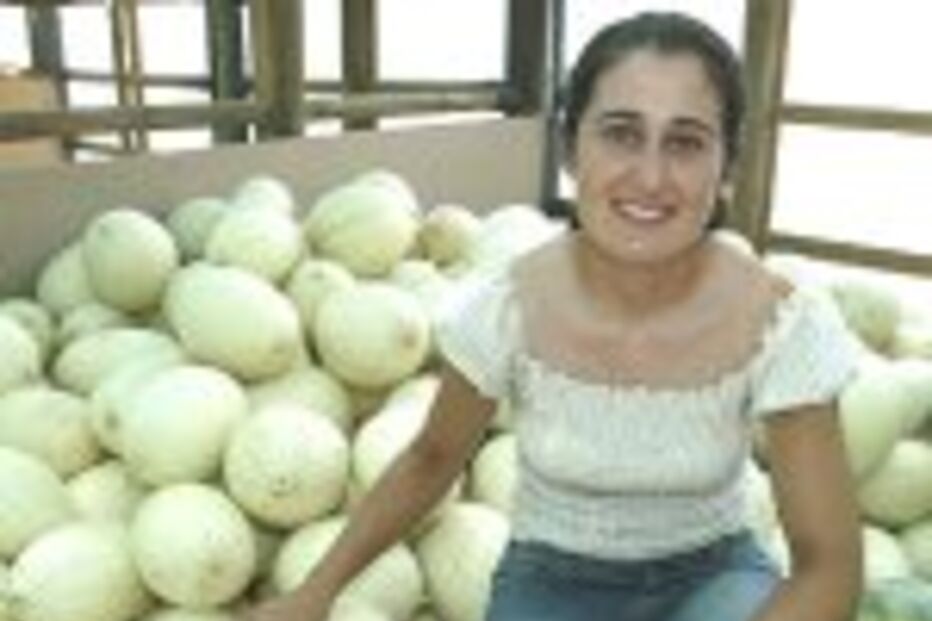 VAGA DE CALOR QUEIMA MELÃO