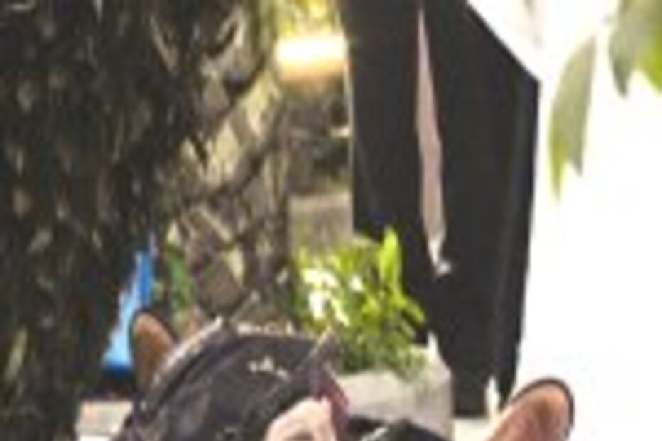 Guerra na Camorra aterroriza Nápoles