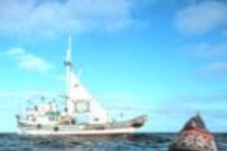 Morreu fundador do Greenpeace