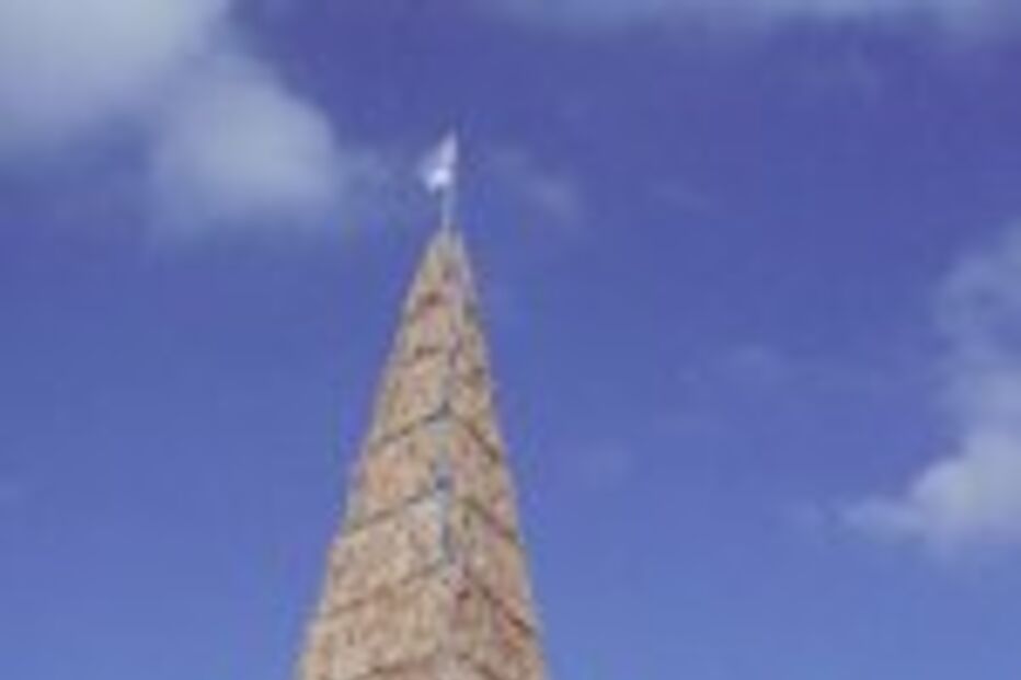 Guinness conta com 24 lusitanos