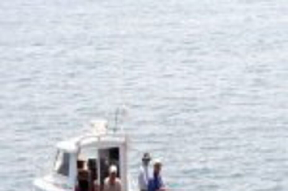 Pesca de alto mar em Setúbal