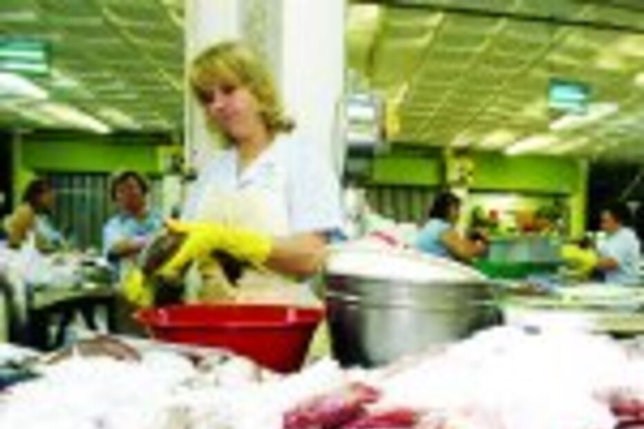 GRÁVIDAS PODEM COMER PEIXE