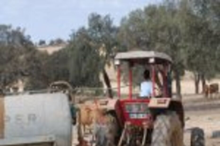 Crónica de um bom malandro