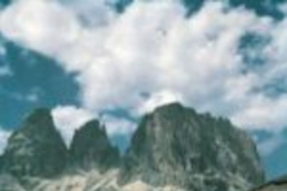 Fiat e Ford estabelecem parceria