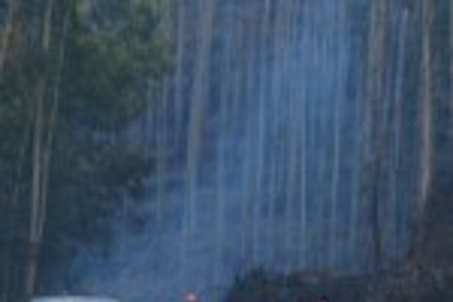 É fácil culpar os mortos