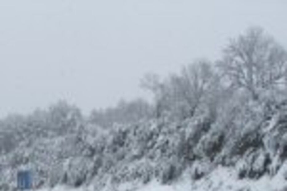 Nevão isola Bragança