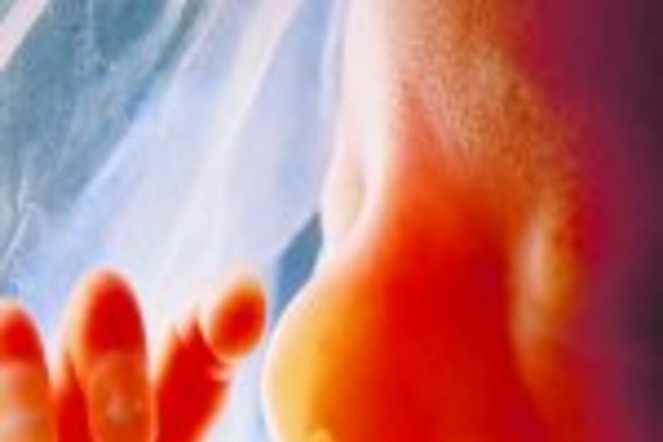 Filme inédito sobre a vida no ventre