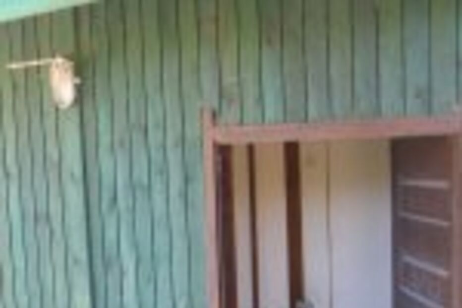 Casas de banho conspurcadas na praia da Malheira