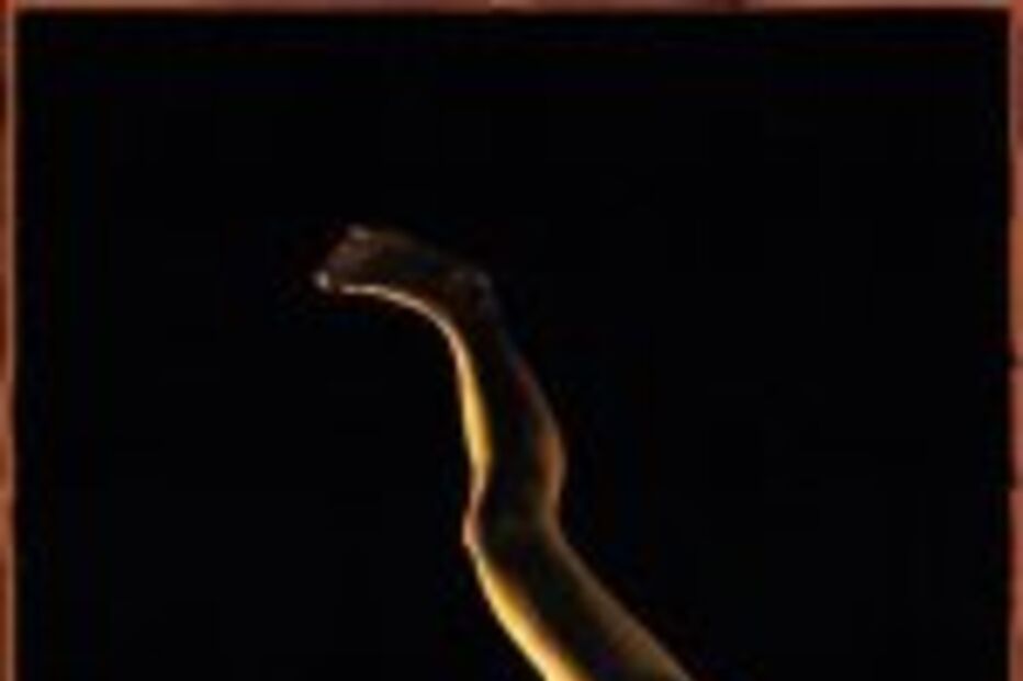 Lúcia Sigalho repõe Documental